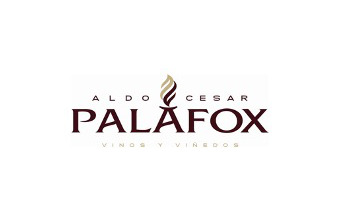 ALDO PALAFOX, S.A. de C.V.