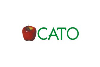 CALIDAD TOTAL EN CERÁMICA, S.A.P.I. de C.V.