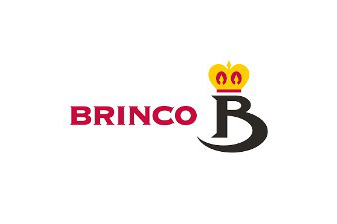 ENTRETELAS BRINCO, S.A. de C.V.