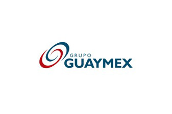 GRUPO GUAYMEX, S.A. de C.V.